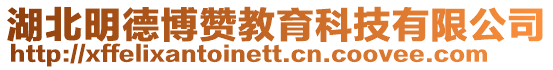 湖北明德博贊教育科技有限公司