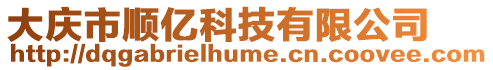 大慶市順億科技有限公司