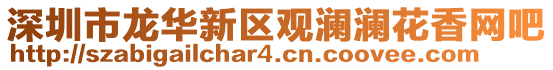 深圳市龍華新區(qū)觀瀾瀾花香網(wǎng)吧