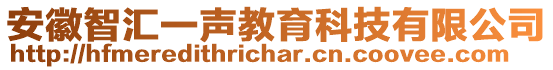 安徽智匯一聲教育科技有限公司