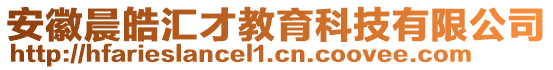 安徽晨皓匯才教育科技有限公司