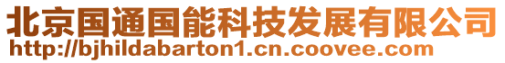 北京國(guó)通國(guó)能科技發(fā)展有限公司