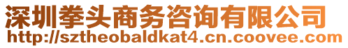深圳拳頭商務咨詢有限公司