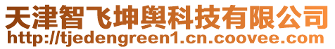 天津智飛坤輿科技有限公司