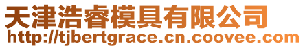 天津浩睿模具有限公司