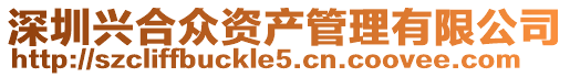 深圳興合眾資產(chǎn)管理有限公司