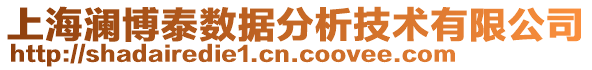 上海瀾博泰數(shù)據(jù)分析技術(shù)有限公司