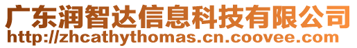 廣東潤智達信息科技有限公司