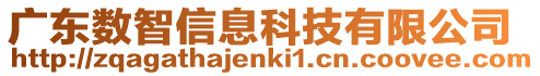 廣東數智信息科技有限公司