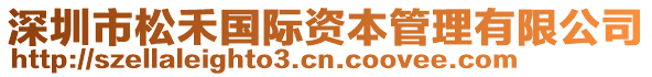 深圳市松禾國際資本管理有限公司