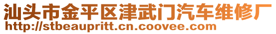 汕頭市金平區(qū)津武門汽車維修廠