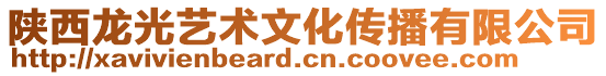 陜西龍光藝術(shù)文化傳播有限公司
