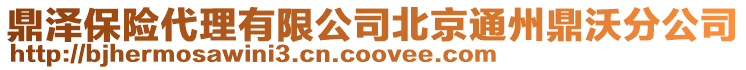 鼎澤保險代理有限公司北京通州鼎沃分公司