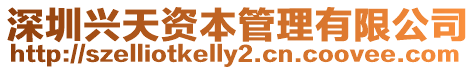 深圳興天資本管理有限公司
