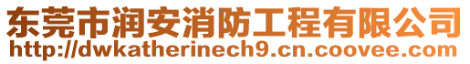 東莞市潤安消防工程有限公司