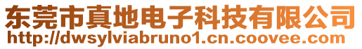 東莞市真地電子科技有限公司