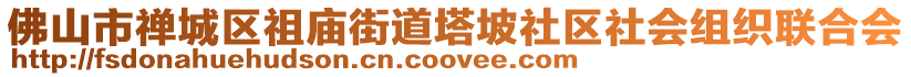 佛山市禪城區祖廟街道塔坡社區社會組織聯合會