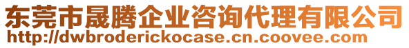 東莞市晟騰企業咨詢代理有限公司