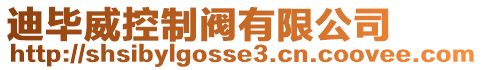 迪畢威控制閥有限公司