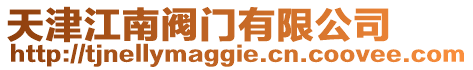 天津江南閥門(mén)有限公司