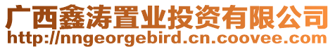廣西鑫濤置業投資有限公司