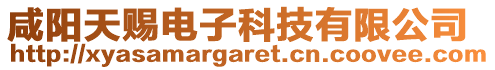咸陽天賜電子科技有限公司