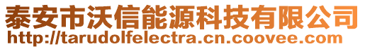 泰安市沃信能源科技有限公司