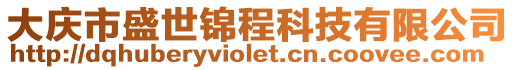 大慶市盛世錦程科技有限公司