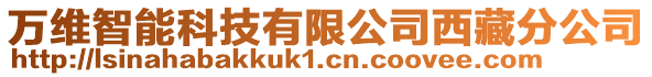 萬(wàn)維智能科技有限公司西藏分公司