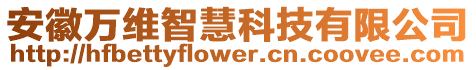 安徽萬(wàn)維智慧科技有限公司