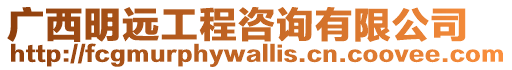 廣西明遠(yuǎn)工程咨詢有限公司