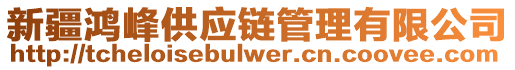 新疆鴻峰供應(yīng)鏈管理有限公司