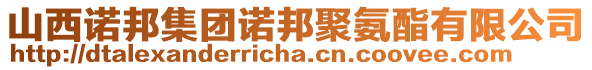 山西諾邦集團諾邦聚氨酯有限公司