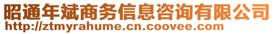 昭通年斌商務信息咨詢有限公司