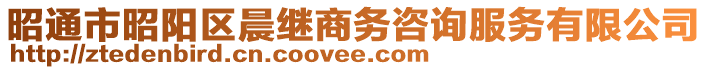 昭通市昭陽(yáng)區(qū)晨繼商務(wù)咨詢(xún)服務(wù)有限公司