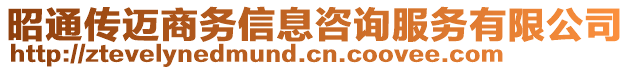 昭通傳邁商務信息咨詢服務有限公司