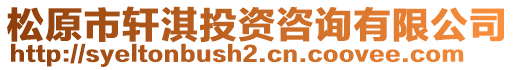 松原市軒淇投資咨詢有限公司