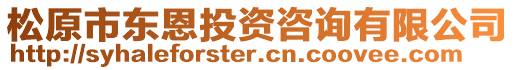 松原市東恩投資咨詢有限公司