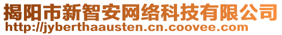 揭陽市新智安網絡科技有限公司