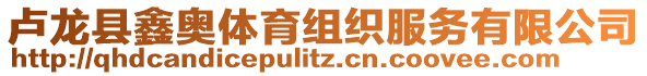 盧龍縣鑫奧體育組織服務(wù)有限公司