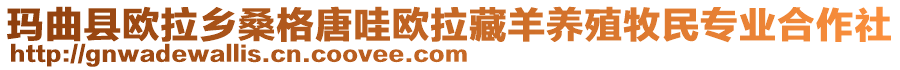 瑪曲縣歐拉鄉桑格唐哇歐拉藏羊養殖牧民專業合作社