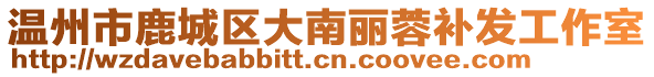 溫州市鹿城區(qū)大南麗蓉補(bǔ)發(fā)工作室