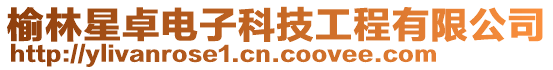 榆林星卓電子科技工程有限公司