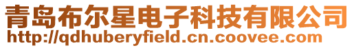 青島布爾星電子科技有限公司