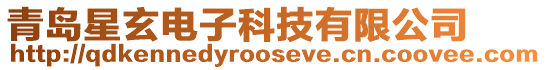 青島星玄電子科技有限公司