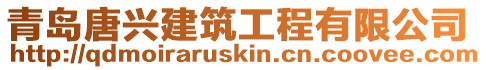 青島唐興建筑工程有限公司