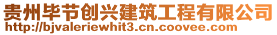 貴州畢節(jié)創(chuàng)興建筑工程有限公司