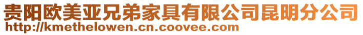 貴陽歐美亞兄弟家具有限公司昆明分公司