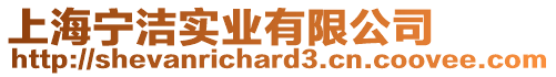上海寧潔實業有限公司