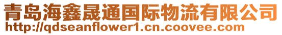 青島海鑫晟通國際物流有限公司